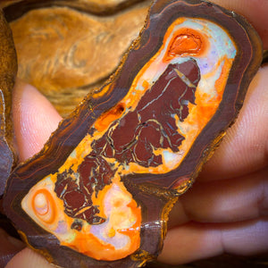 310.5cts - Yowah Nut Partial Crystal Centre Rough Specimen Pair