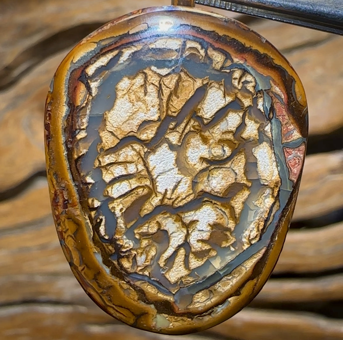 Solid Blonde Tribal Queensland Boulder Opal Unisex Pendant