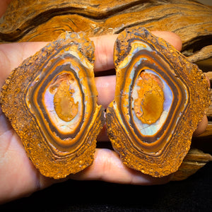 697cts - Large Yowah Nut Partial Crystal Centre Rough Specimen Pair