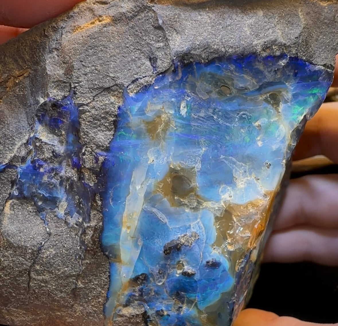 906g - Large Queensland Boulder Opal Rough Specimen from Winton - Opal Whisperers