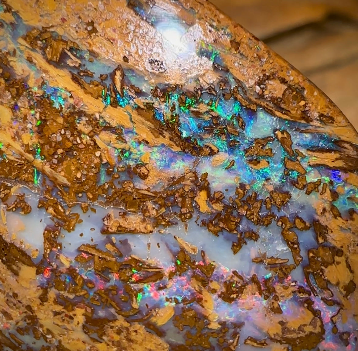 65.3cts - Large Australian Boulder Wood Fossil Opal Multicolour - Opal Whisperers