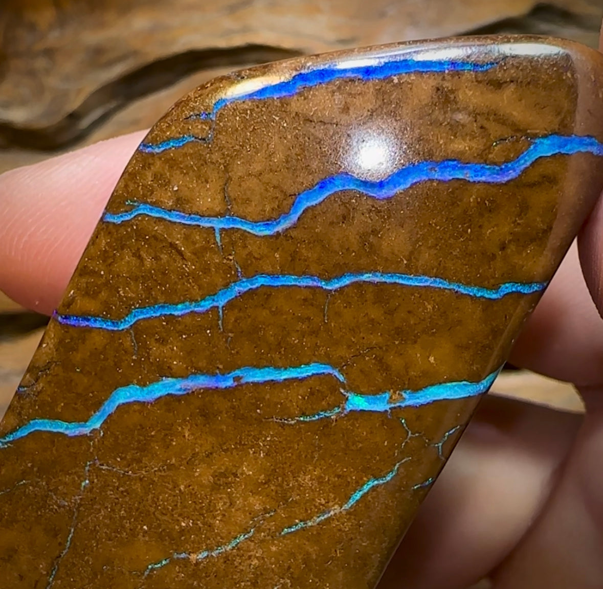 760.9cts - Polished Queensland Boulder Opal Specimen. Massive Heritage Piece - Opal Whisperers