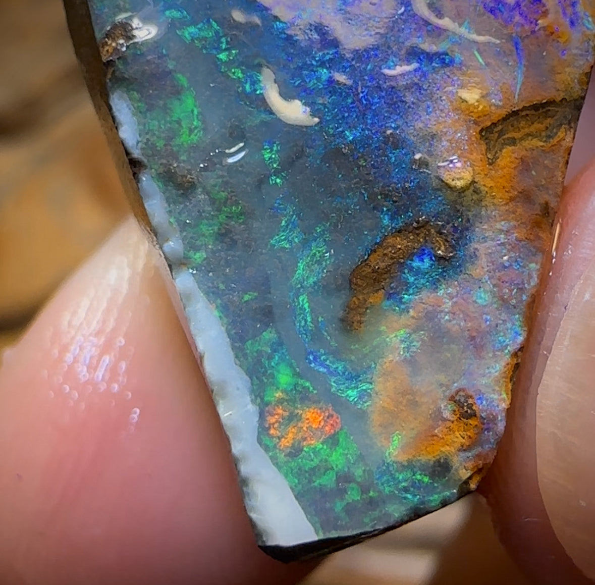 61.5cts - Queensland Boulder Seam Opal Rub