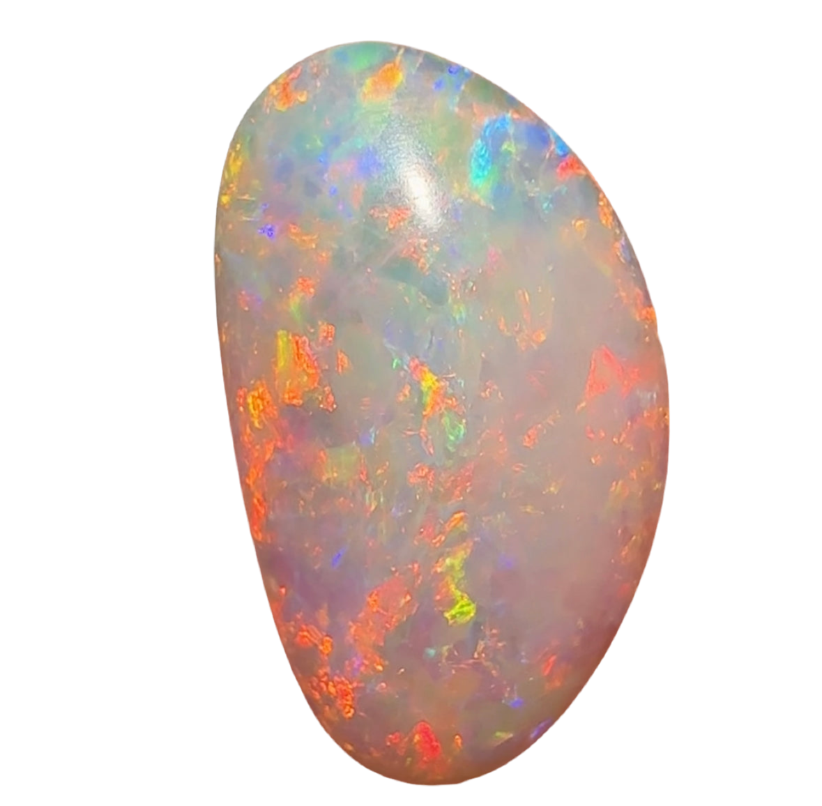 0.95cts - South Australian Crystal Opal. Fossilised Pippy Shell - Opal Whisperers