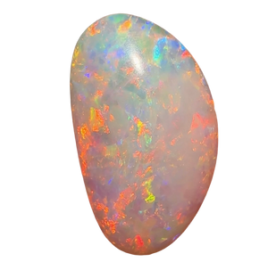 0.95cts - South Australian Crystal Opal. Fossilised Pippy Shell - Opal Whisperers