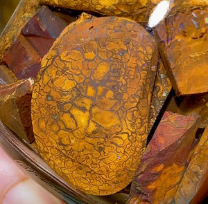 140.9g - Jar of Rough Australian Boulder Opal