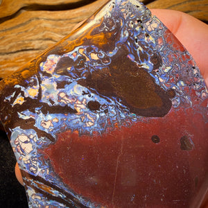 Bargain Monster Card!  2279cts - Large Tribal Yowah Nut Opal Pair. Polished Specimens