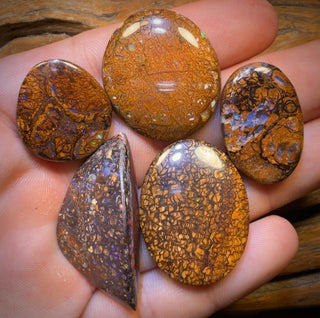 🔒 157,1 cts - 5 opales australiennes tribales de type boulder. Lot pour grossistes.