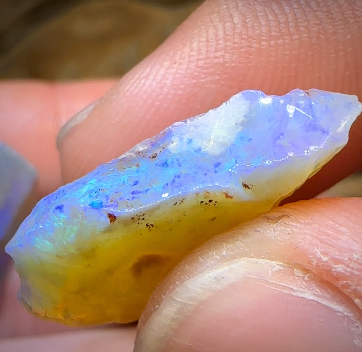 59.5cts - 5x Lightning Ridge Opal Rough Parcel