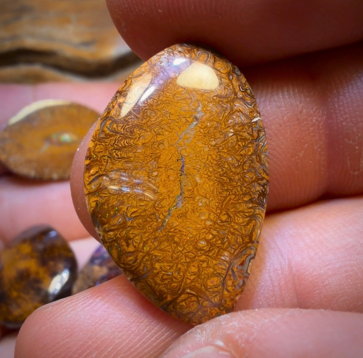 🔒 86.6cts - 5x Australian Tribal Boulder Opal’s. Wholesale Dealers Parcel