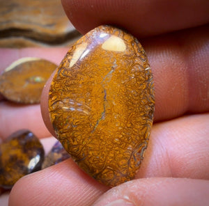 🔒 86.6cts - 5x Australian Tribal Boulder Opal’s. Wholesale Dealers Parcel