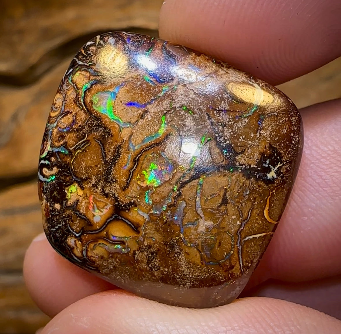 35.1cts - Queensland Boulder Opal - Opal Whisperers