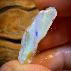 Wildcard! 19.3cts - Lightning Ridge Opal Rough Piece