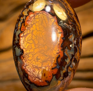 9.6cts - Yowah Nut Kernel Opal. Australian Boulder Opal