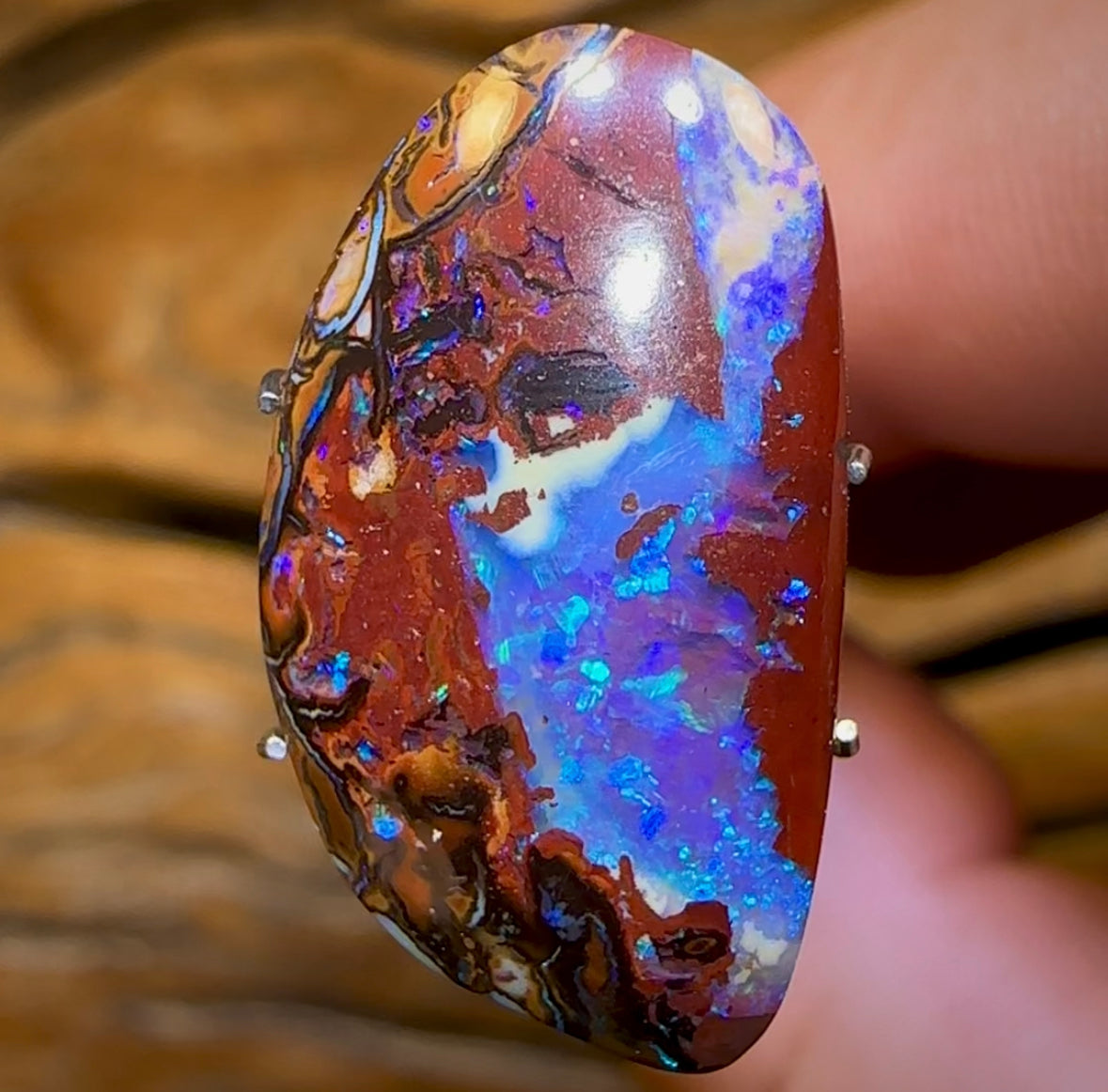 10.5cts - Queensland Boulder Opal Nut Kernel from Koroit Double Sided Magic!