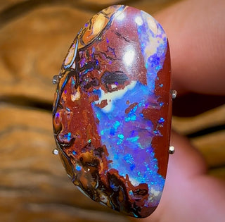 10.5cts - Queensland Boulder Opal Nut Kernel from Koroit Double Sided Magic!