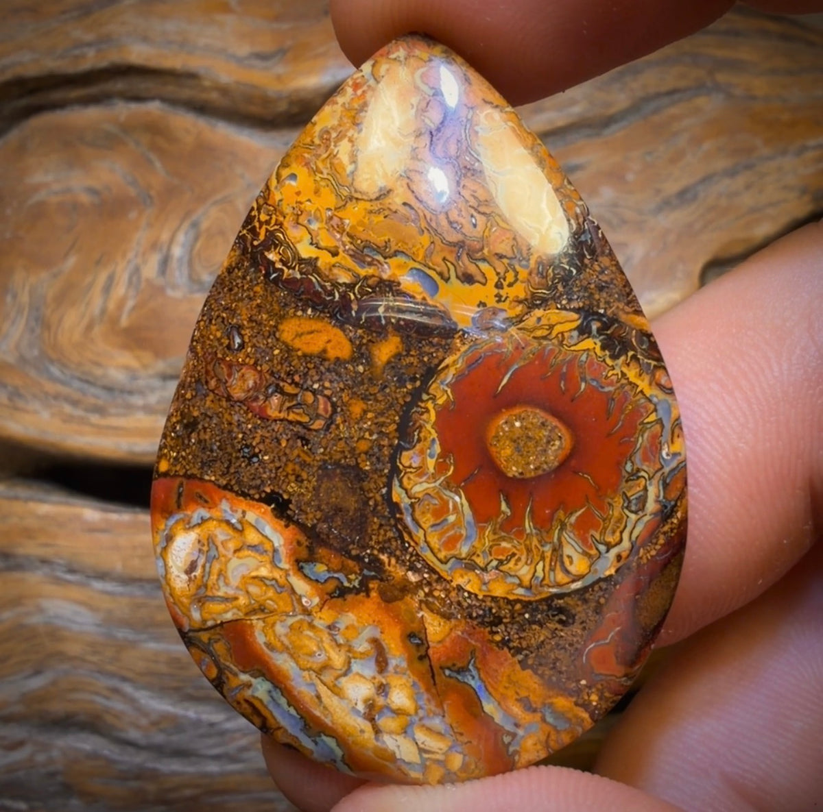 81.6cts - Tribal Eye2 Yowah Nut Opal. Australian Opal