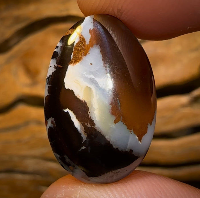 🔨 AUCTION 🔨 No Reserve 29.6cts - Queensland Boulder Opal