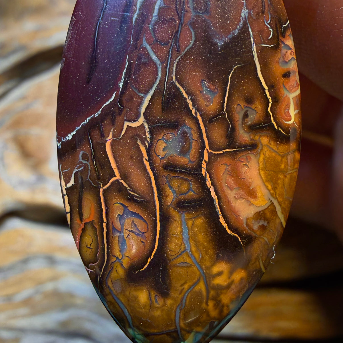 42 x 21mm - Drilled Tribal Queensland Boulder Opal Necklace
