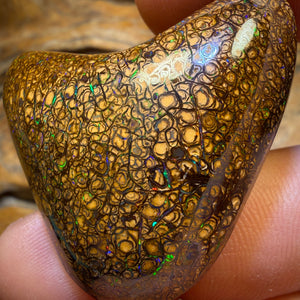 Bargain big boy Card ! 125.3cts - Massive Top Tan Tight Tribal Queensland Boulder Opal from Yowah