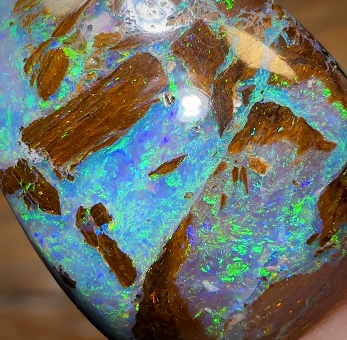 14.8cts - GEM Australian Boulder Wood Fossil Opal