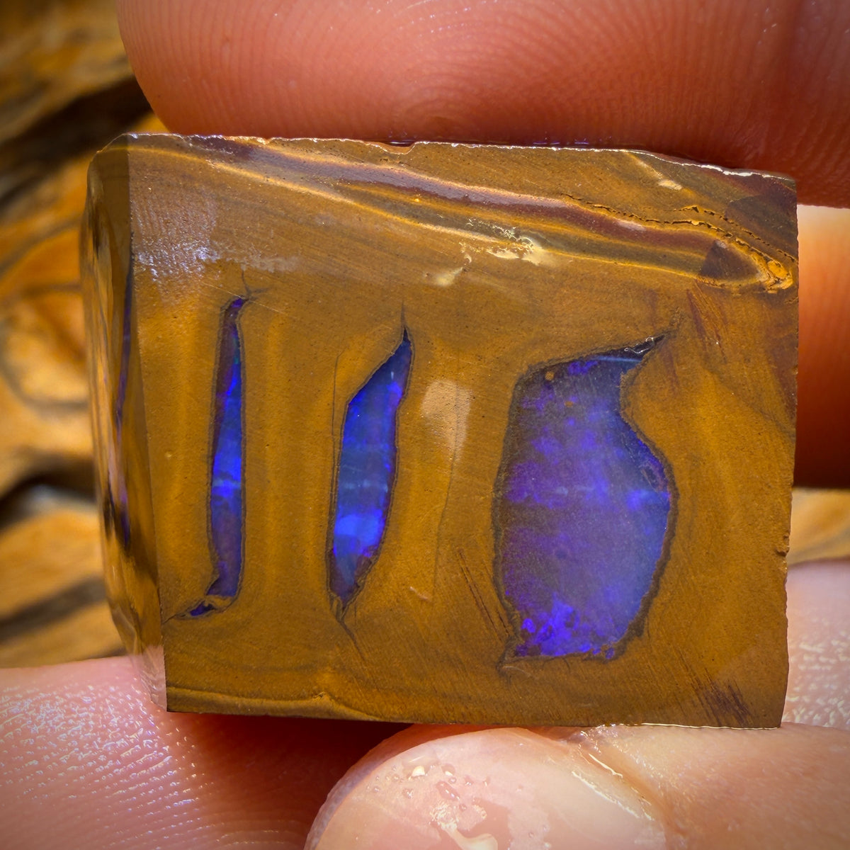 199.2cts - Found whilst Filming for Discovery Channel Duck Creek Boulder Opal Rough Preform