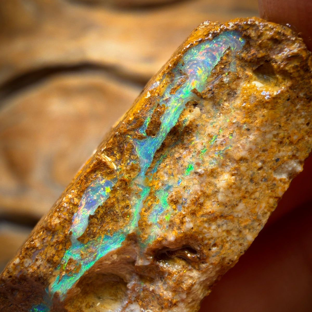 33,1cts - Boulder Pfeifenopal Rohstück. Australischer Opal