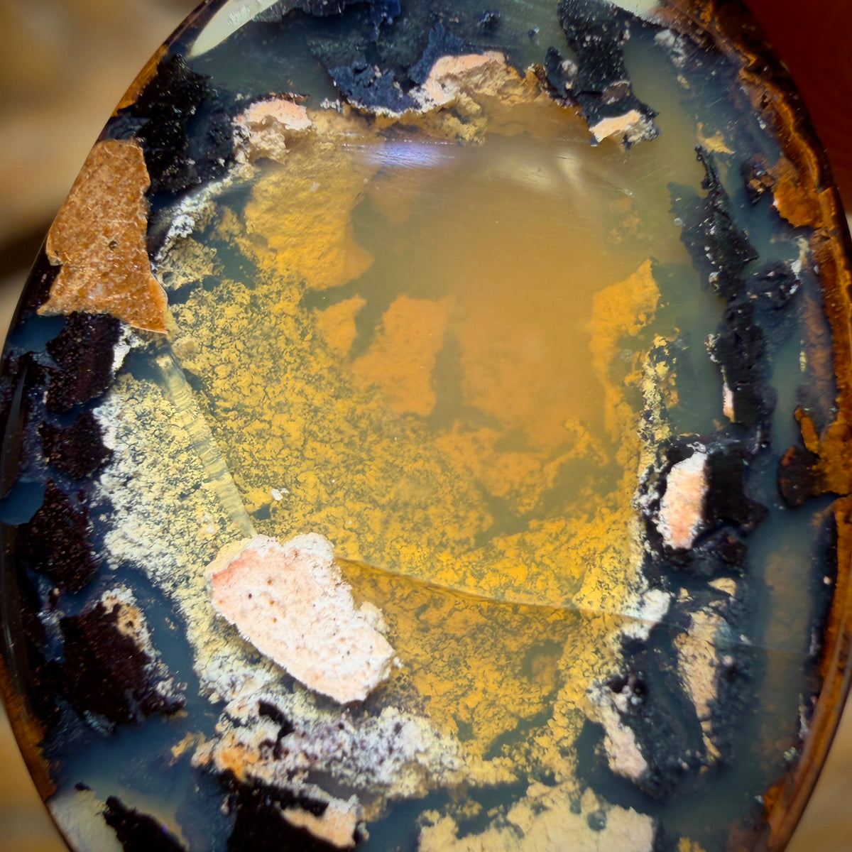 WILDCARD KERNEL 19.5cts - Yowah Nut Crystal Centre Opal. Australian Boulder Opal