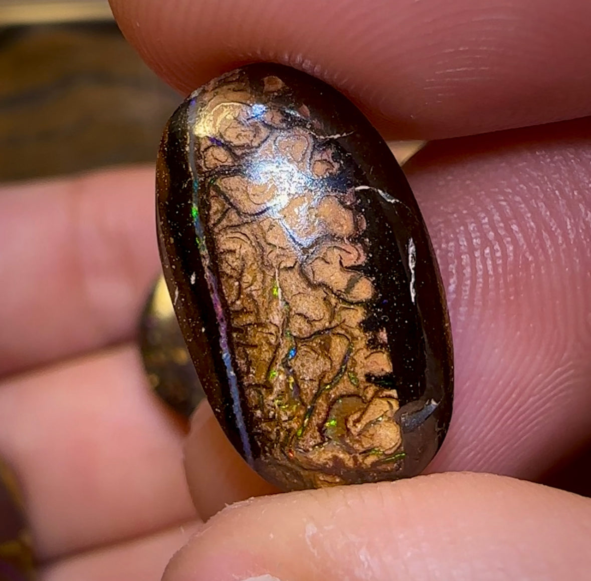 Yowah Tribal Opal Parcel. BULK LISTING - 5 FOR $250. PLUS 6TH FREE !!! - Opal Whisperers