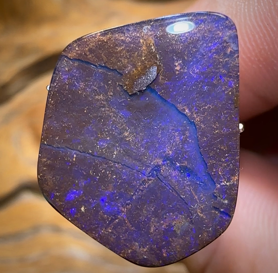 🔨 AUCTION 🔨 16.1cts - Queensland Boulder Seam Opal