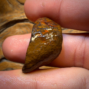 47cts - Yowah Nut Crystal Centre Opal Rough Piece