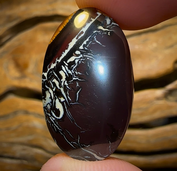 38,4 ct – Queensland Boulder Opal aus Koroit, Great Landscape Picture Stone