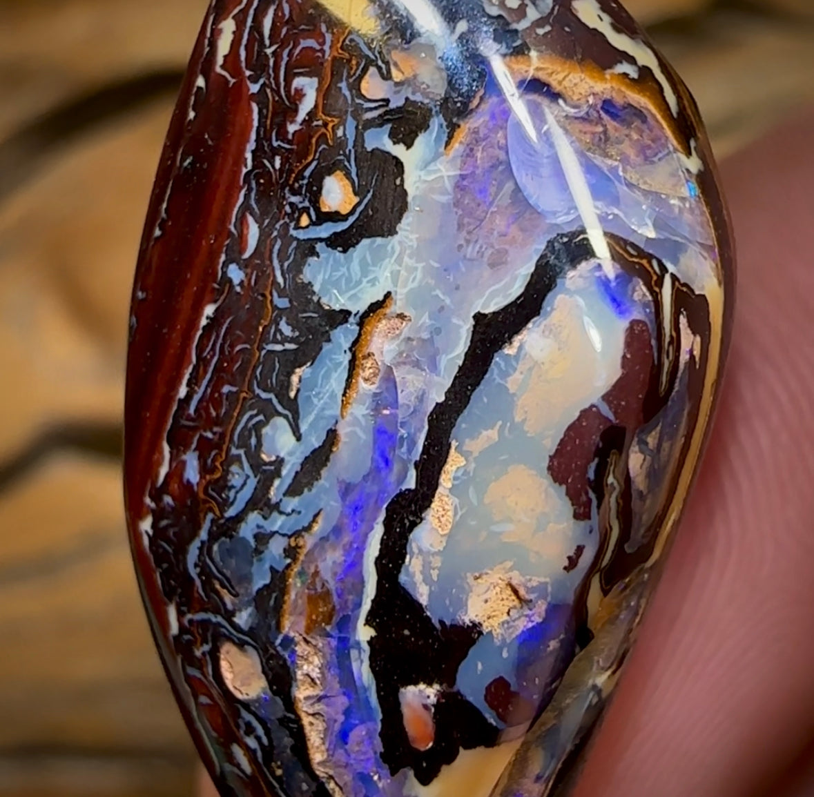 37.8cts - “Purple Kernel”Polished Koroit Nut Opal Specimen - Opal Whisperers