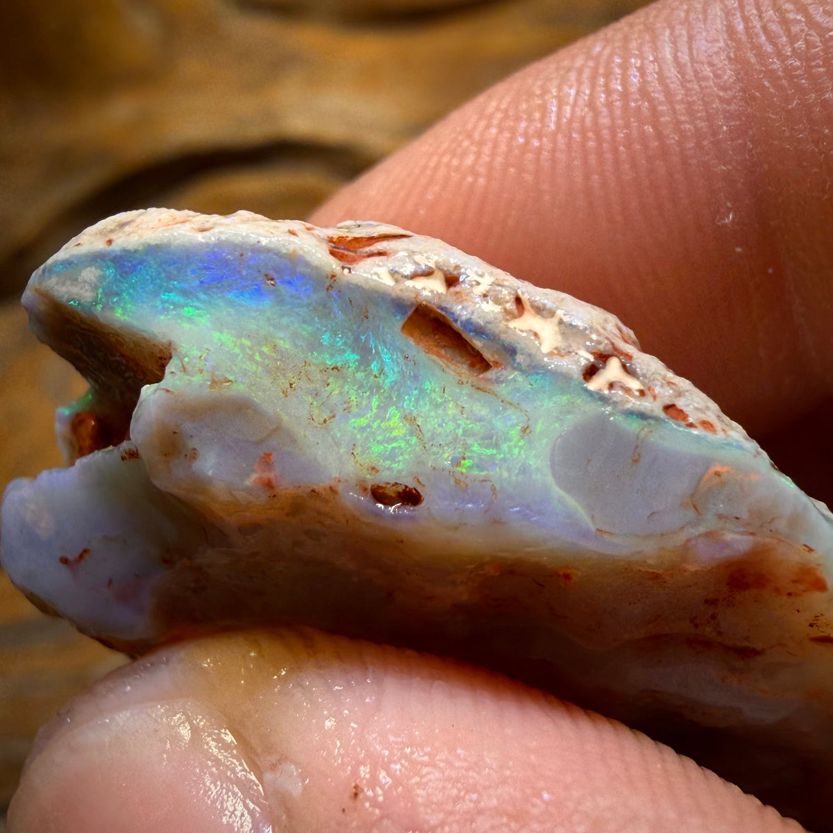 Wild Card! 69.9cts - Lightning Ridge Dark Opal Rough Piece