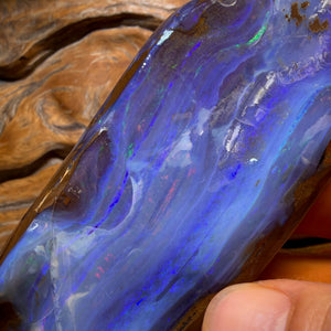 920.5cts - Top Queensland Boulder Seam Opal Rough Rub Piece