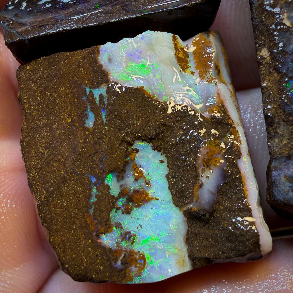 Chasin’ Colour! 187.5cts - 3x Australian Boulder Seam Opal Rough Parcel