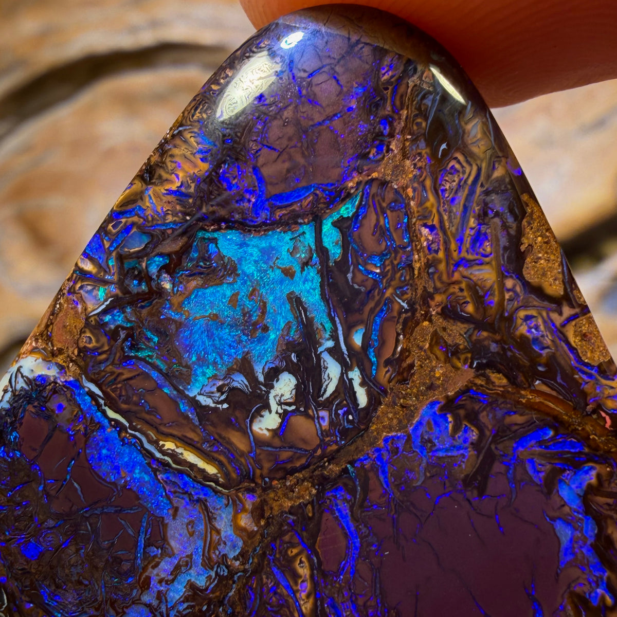 61.5cts - Tribal Queensland Boulder Opal from Yowah