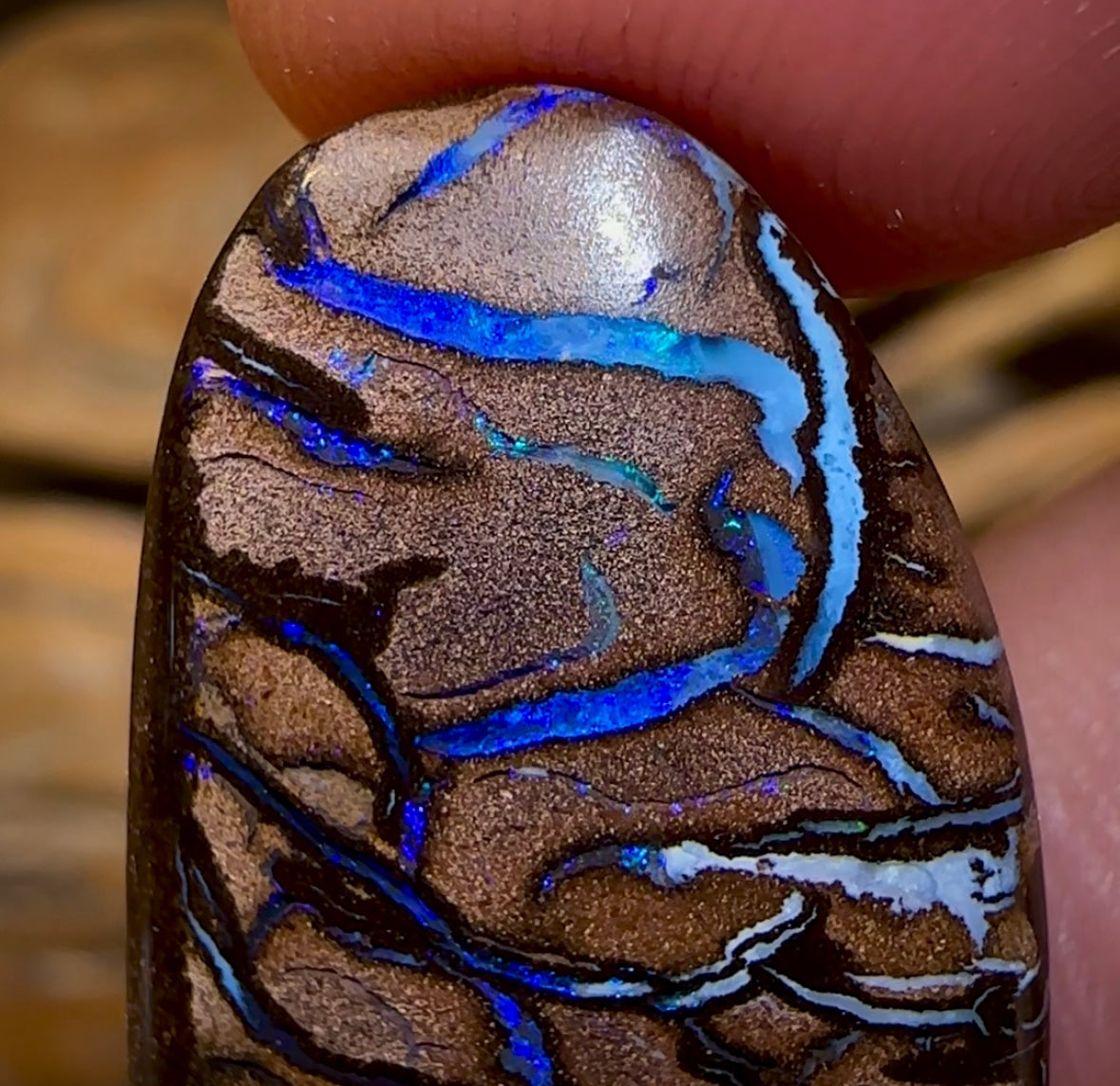 27.1cts - Top Tribal Queensland Boulder Opal from Koroit