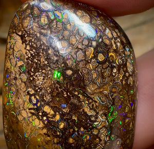 80.7cts - Australian Boulder Opal. Yowah Tribal BARGAIN