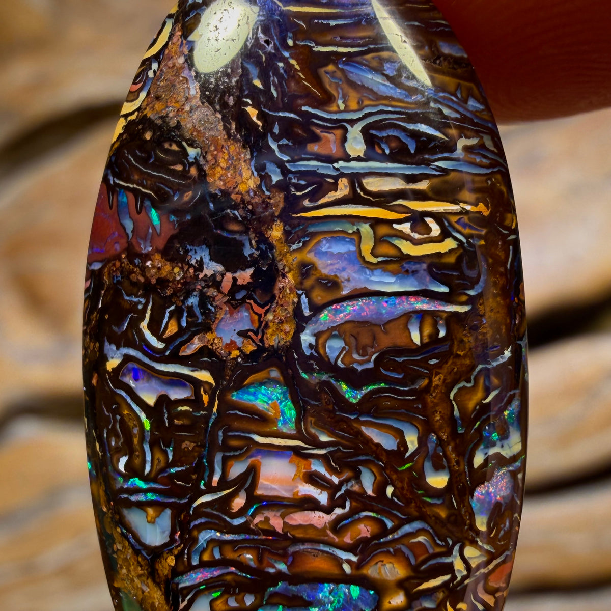 26.4cts - Tribal Queensland Boulder Opal from Yowah