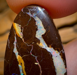 26.1cts - Queensland Boulder Opal from Yowah with Red