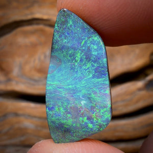 15.4cts - BANGER GEM Queensland Boulder Seam Opal