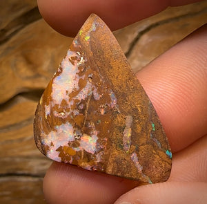 21.9cts - Top Queensland Boulder Opal Fossil Wood from Yowah. Red Multicolours!