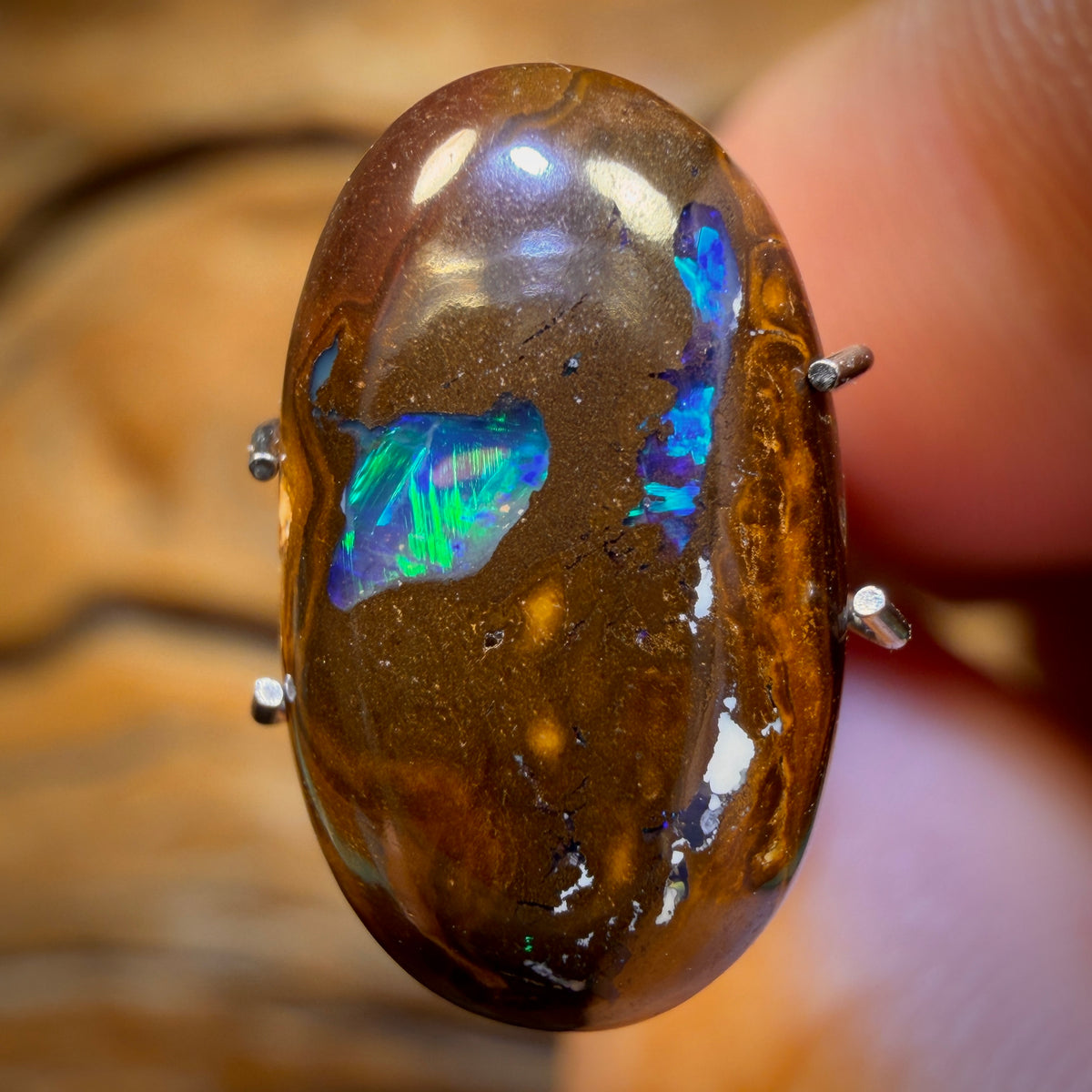 5.9cts - Australian Boulder Opal from Yowah