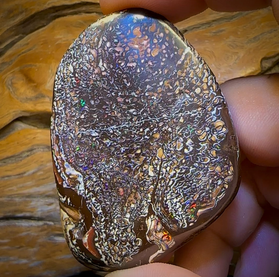 200.5cts - Intricate Tribal Queensland Boulder Opal. Polished Specimen