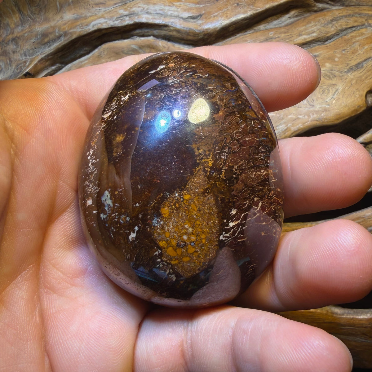 Opalfest Wildcard! 716.4cts - Rare Yowah Nut Crystal Centre Opal Specimen Pair. Polished