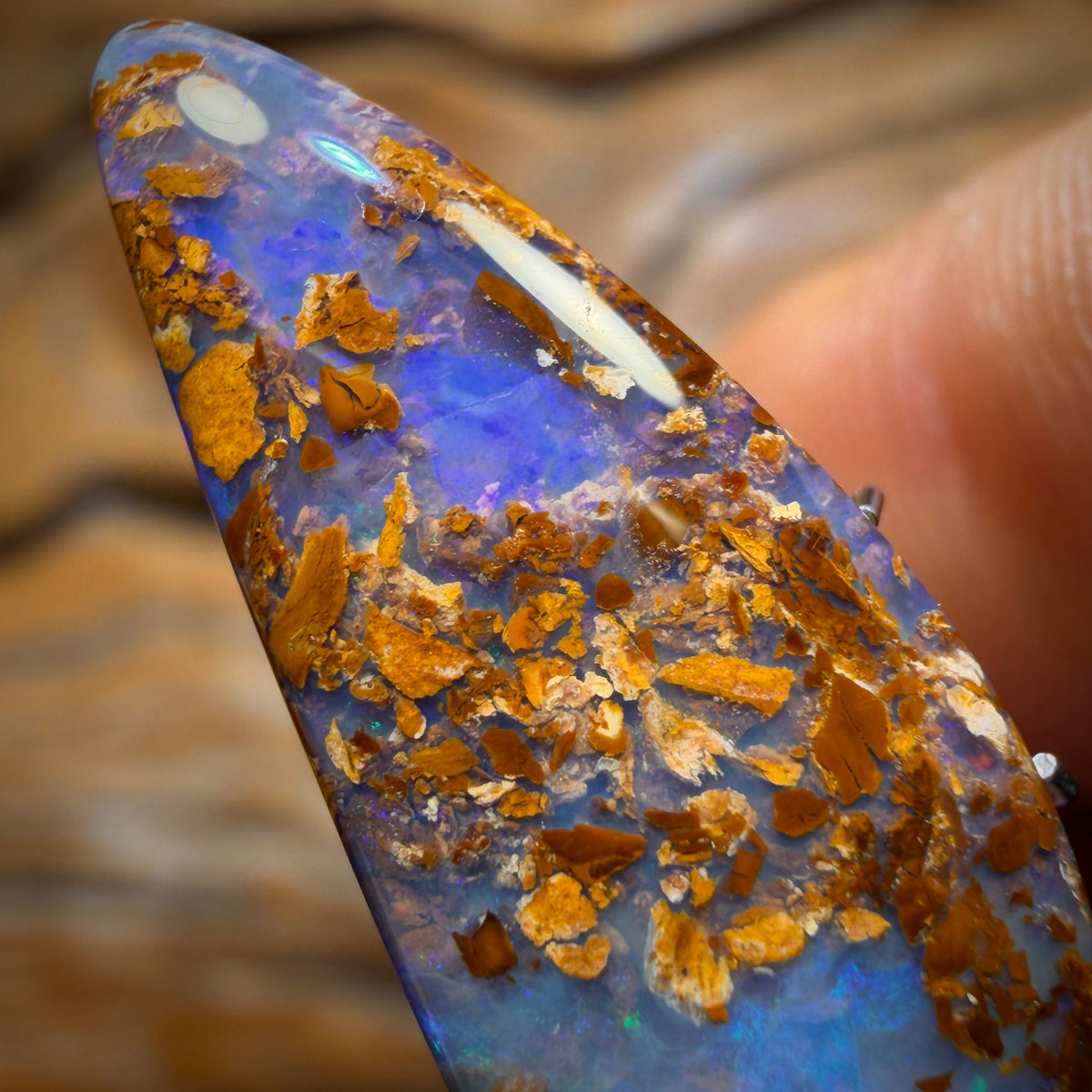 10.2cts - Wood Fossil Replacement Boulder Opal from Yowah