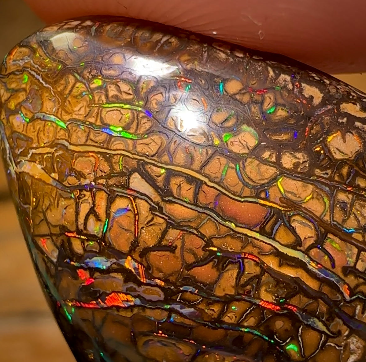 60.8cts - Top Tan Tribal Queensland Boulder Opal Double Sided