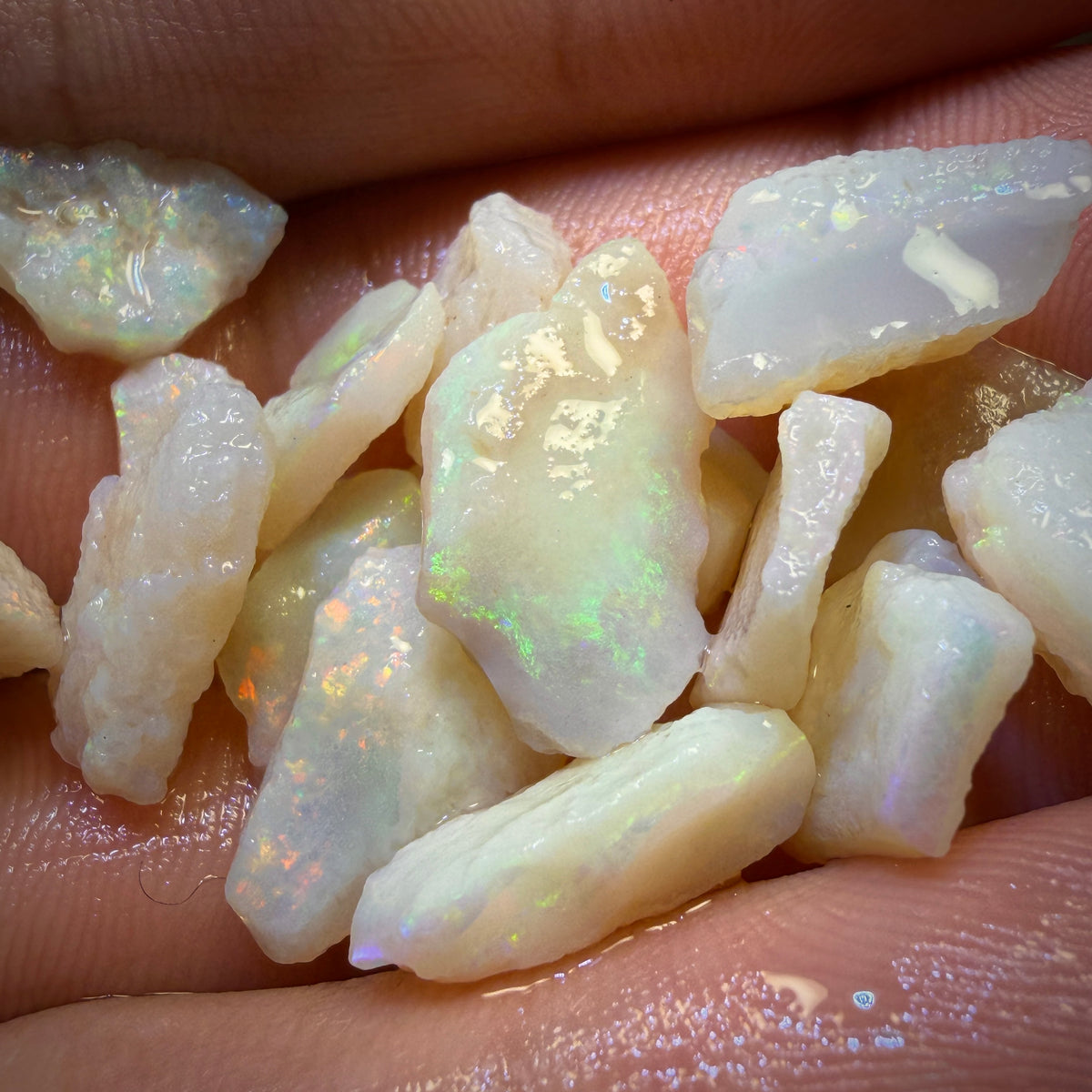 54.6cts - 20x South Australian White Opal Rough Parcel