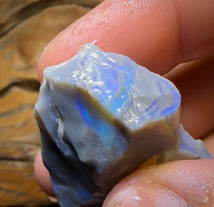 115.8cts - Large Lightning Ridge Opal Rough Piece. GEM lCutter!